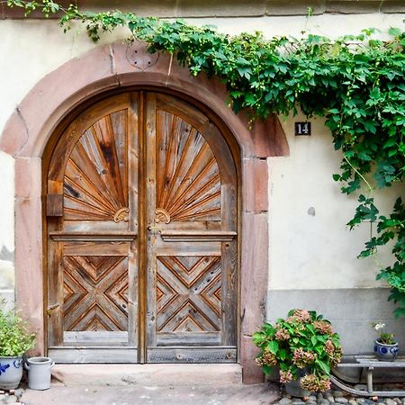 Chaud'Vin Apartment Kaysersberg-Vignoble Luaran gambar