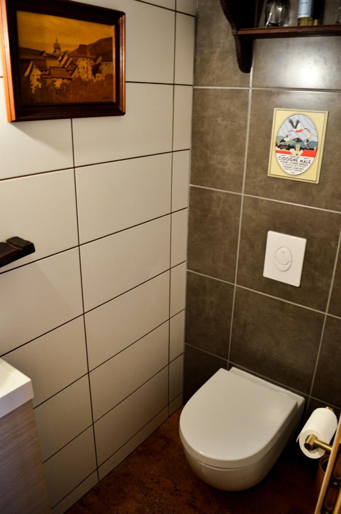 Chaud'Vin Apartment Kaysersberg-Vignoble Luaran gambar