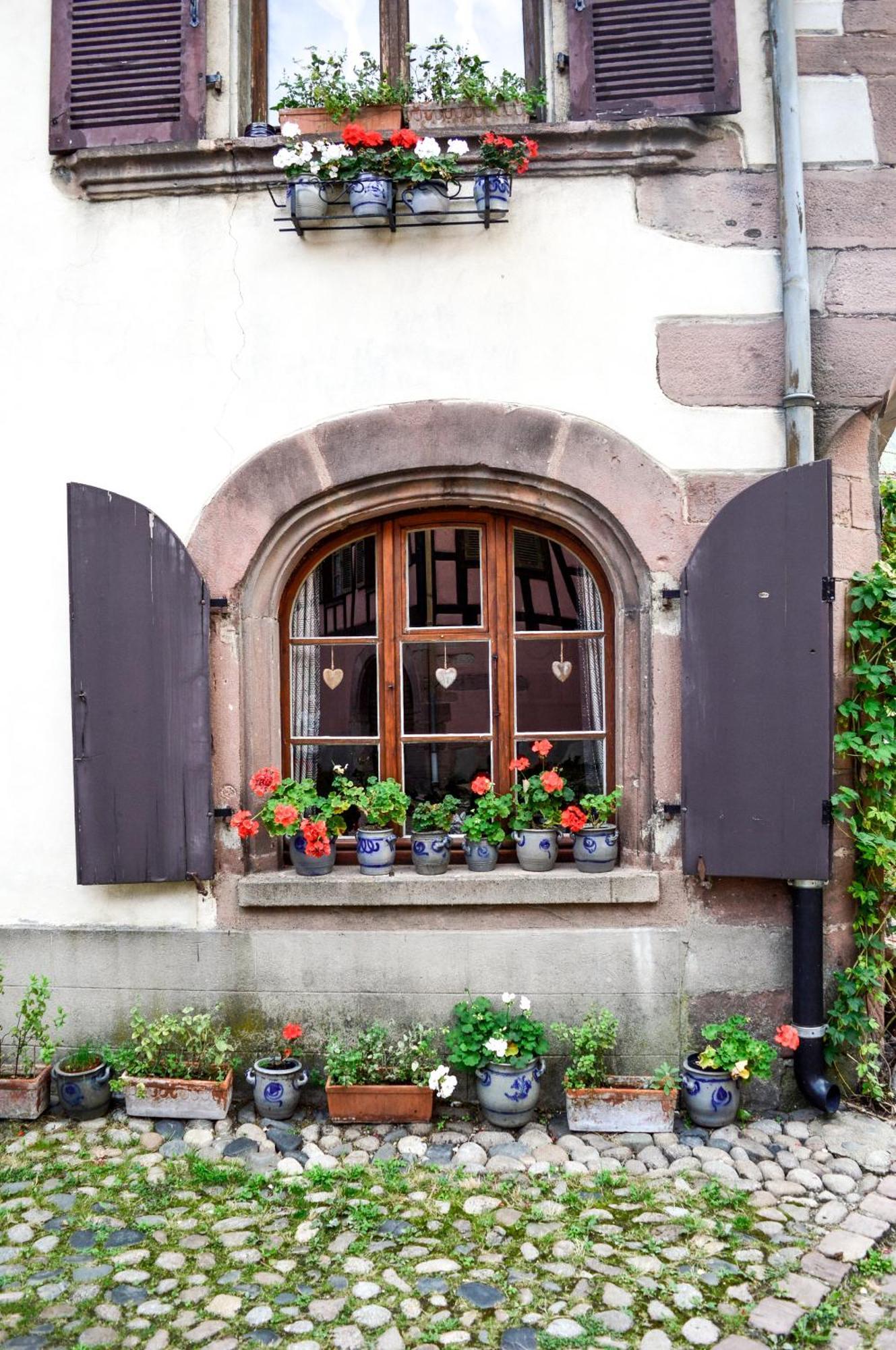 Chaud'Vin Apartment Kaysersberg-Vignoble Luaran gambar