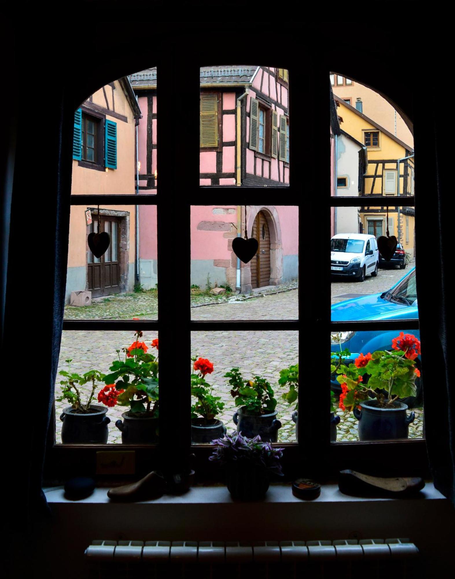 Chaud'Vin Apartment Kaysersberg-Vignoble Luaran gambar